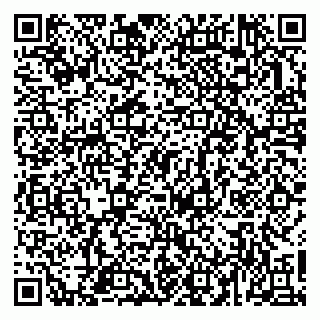 vCard 79963481933