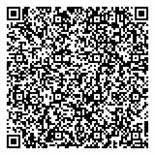 vCard 79963481981