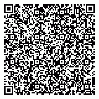 vCard 79963481993