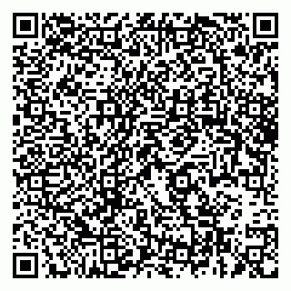 vCard 79963530209