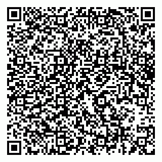 vCard 79963530295