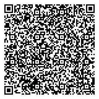 vCard 79963530387