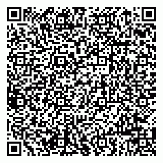 vCard 79963880003