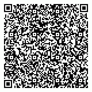 vCard 79963880005