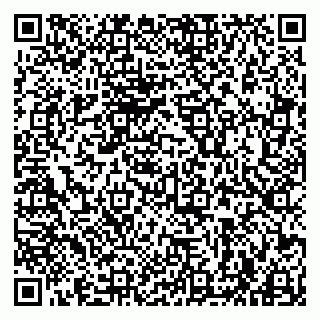 vCard 79963880013