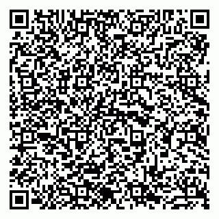 vCard 79963880029