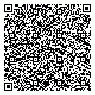 vCard 79963880032