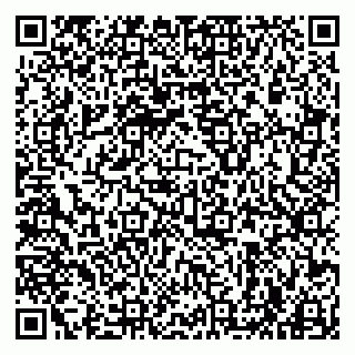 vCard 79963880033