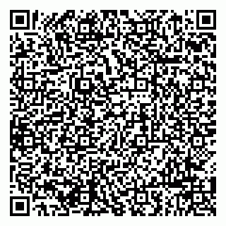 vCard 79963880035
