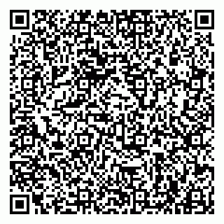 vCard 79963880038
