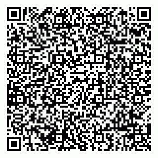 vCard 79963880041