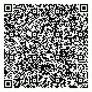 vCard 79963880060