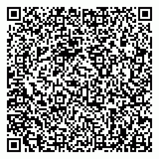 vCard 79963880063