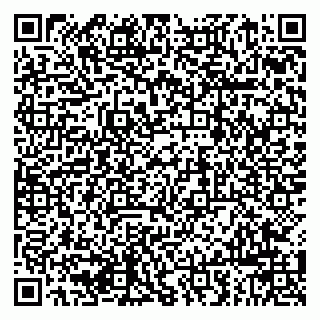 vCard 79963880089