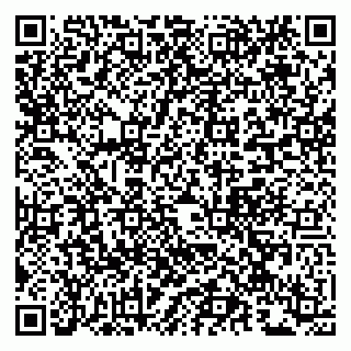 vCard 79963880095