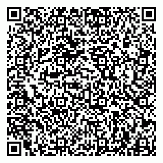 vCard 79963880103