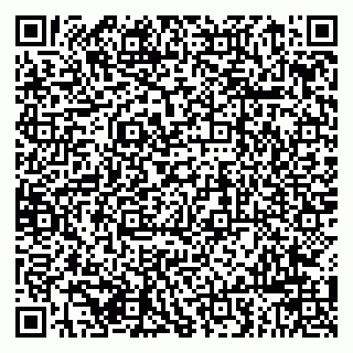 vCard 79963880105