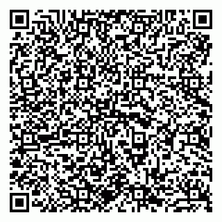vCard 79963880108