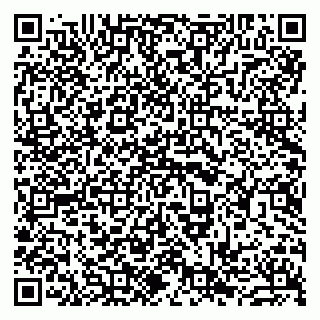 vCard 79963880113