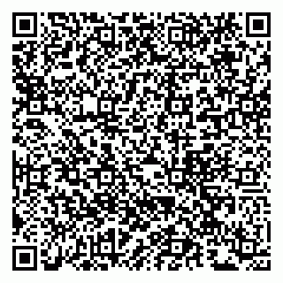 vCard 79963880119