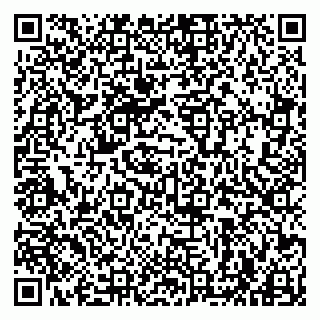 vCard 79963880128