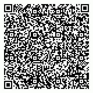 vCard 79963880131