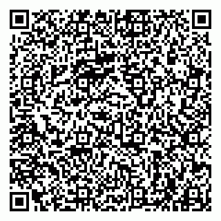 vCard 79963880132