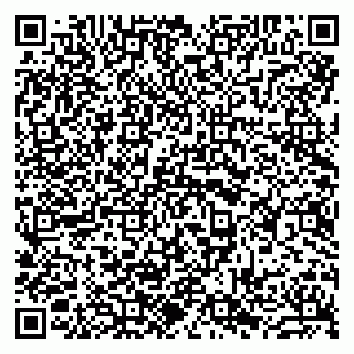 vCard 79963880133