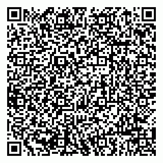 vCard 79963880137