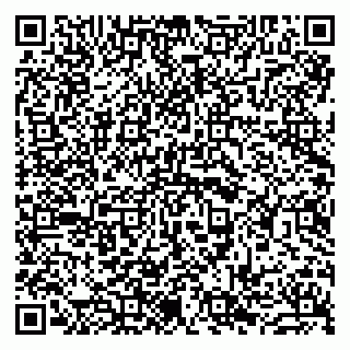 vCard 79963880151