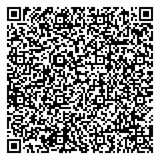 vCard 79963880159