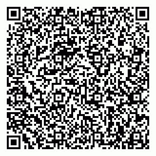 vCard 79963880174