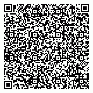 vCard 79963880197