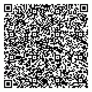 vCard 79963880203