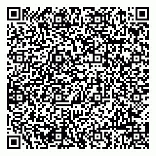vCard 79963880208