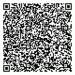 vCard 79963880209