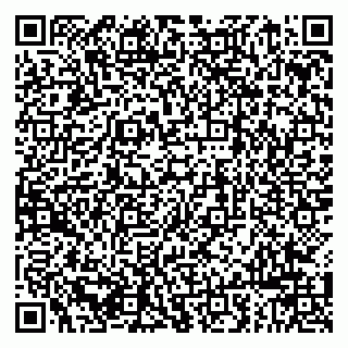 vCard 79963880211