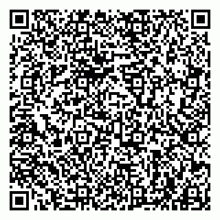 vCard 79963880218