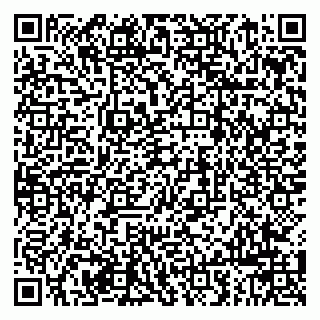 vCard 79963880219