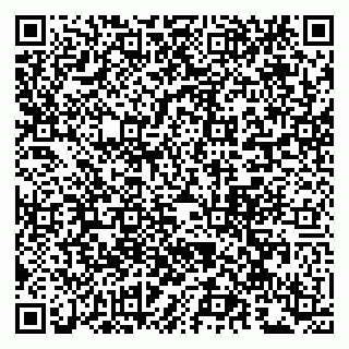 vCard 79963880225