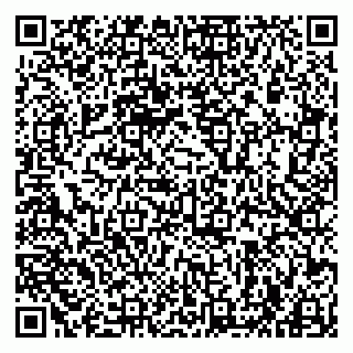 vCard 79963880229