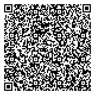vCard 79963880233