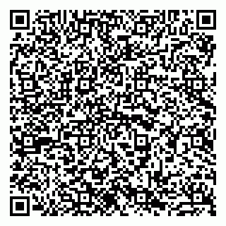 vCard 79963880238