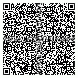 vCard 79963880239