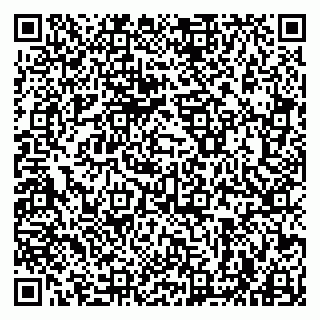 vCard 79963880267