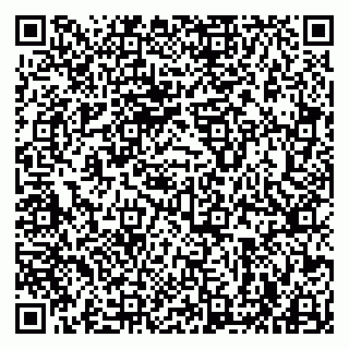 vCard 79963880273