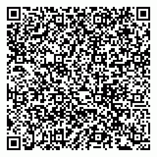 vCard 79963880290