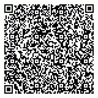 vCard 79963880291