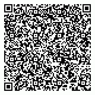 vCard 79963880295