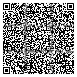 vCard 79963880299